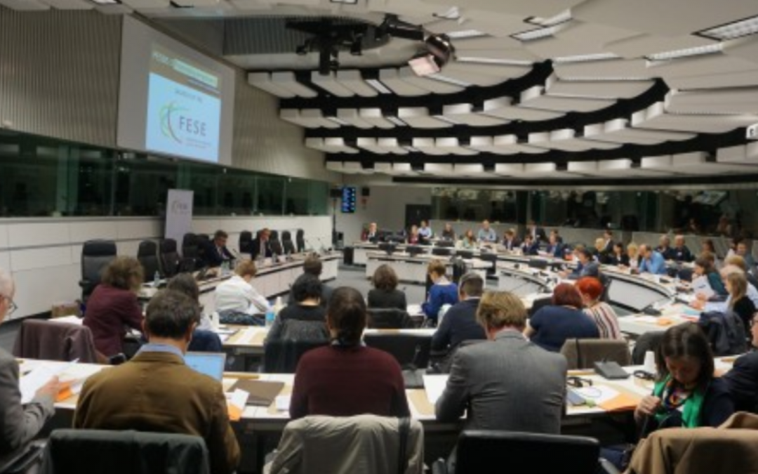 Employers in social services opt for creating a European structure